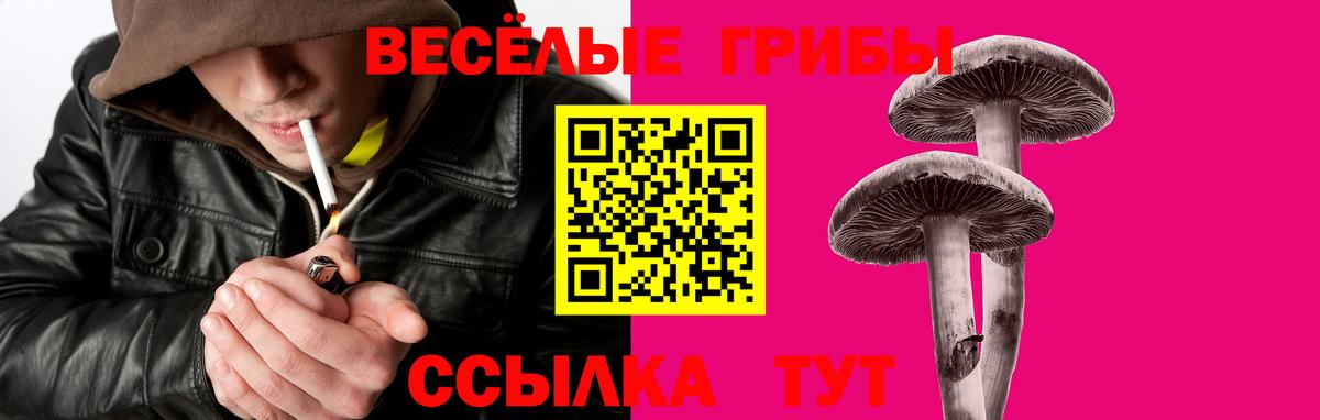 Сальск  Псилоцибиновые грибы GOLDEN TEACHER  Вход с VPN  Галлюциногенные грибы GOLDEN TEACHER 