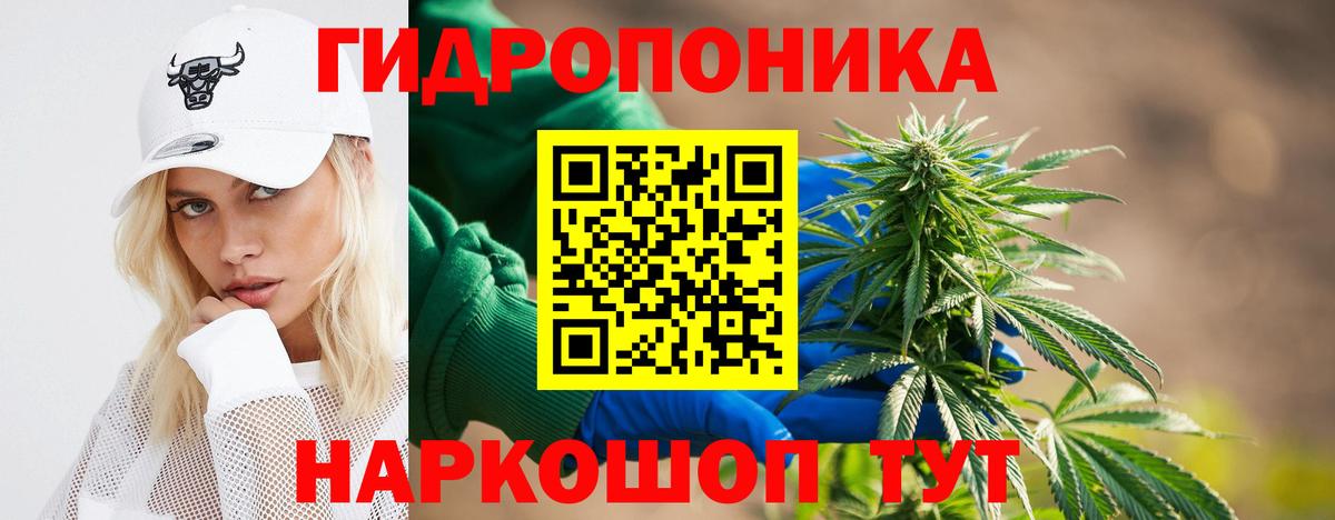 Бошки Шишки AK-47  Вход с VPN  Шишки марихуана ГИДРОПОН  Сальск 
